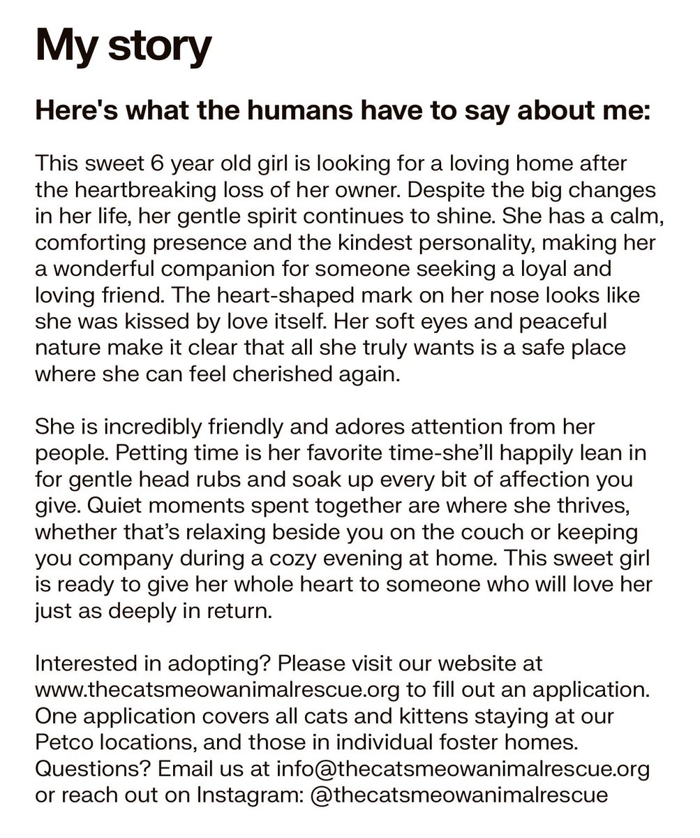 The Cat's Meow tweet media