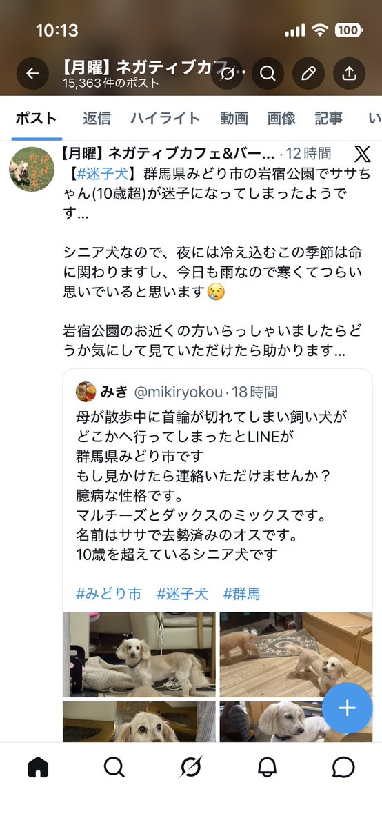 【月曜】ネガティブカフェ&バー モリオウチ　【火水木金土日】個室ミニ水そうカフェ＆バー モリオウチ tweet media