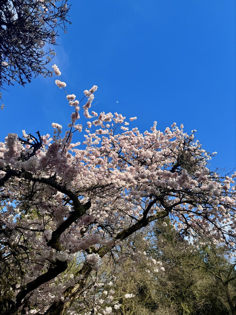 philosofts tweet picture