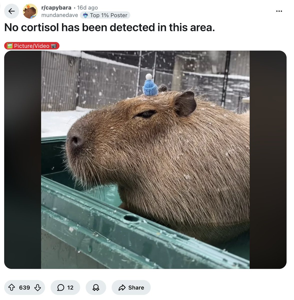 Limbicius tweet media