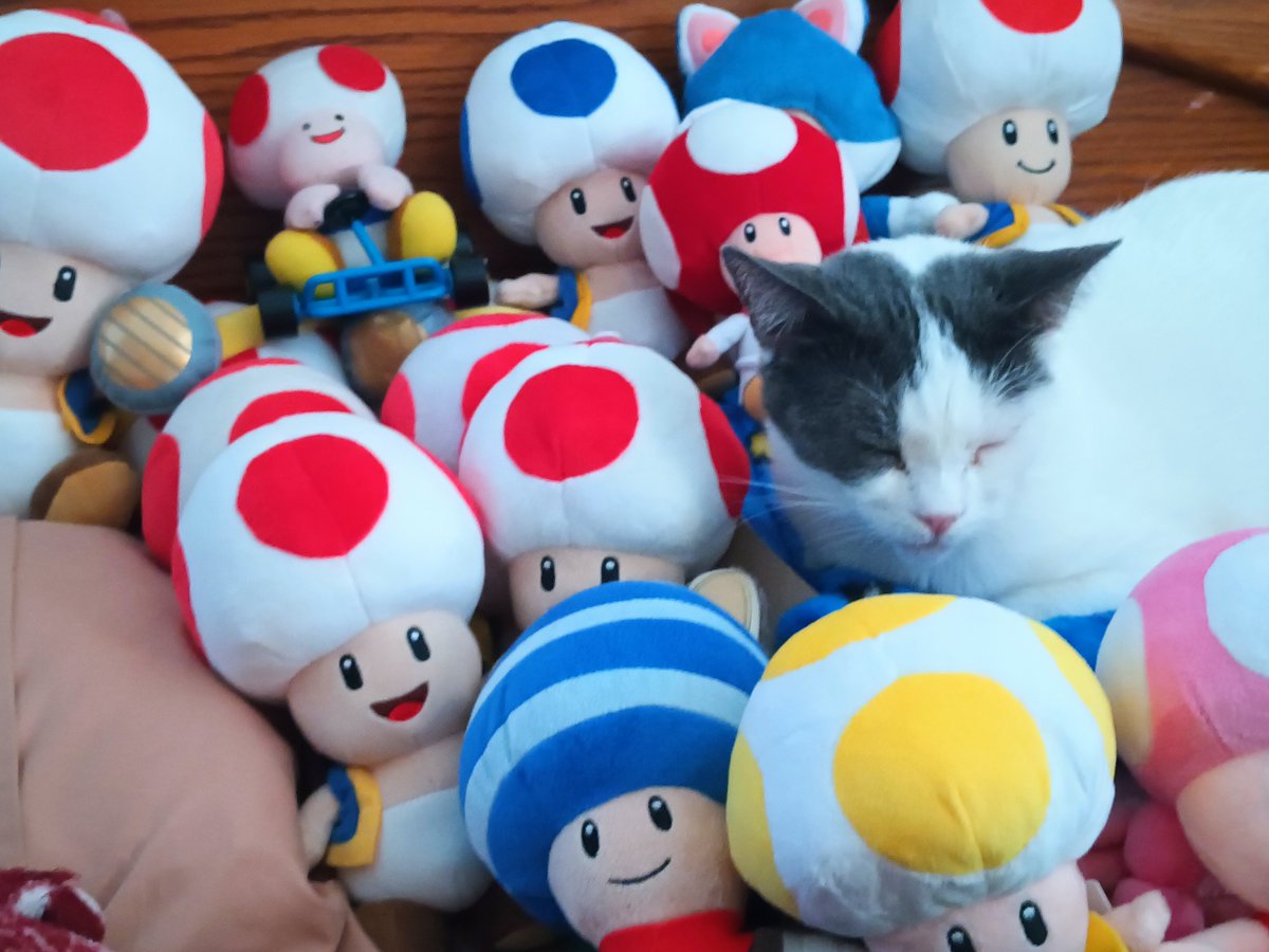 ✨☀️~The-Brunette-Amitie~☀️✨ tweet media