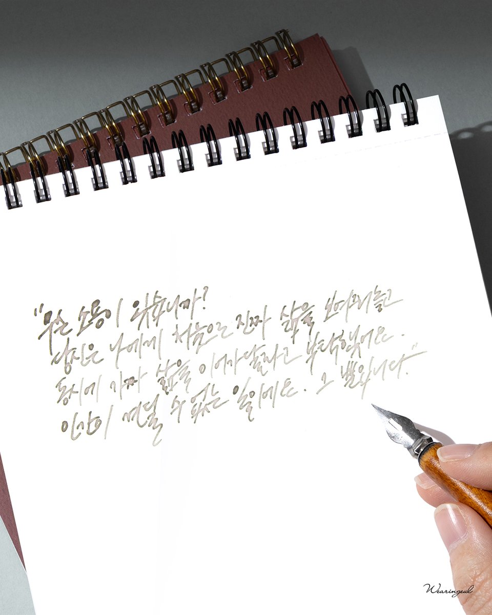 글입다 Wearingeul tweet media