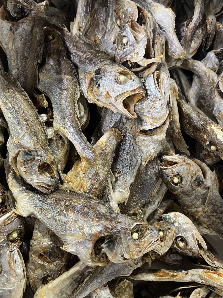 麺屋わしわ tweet media