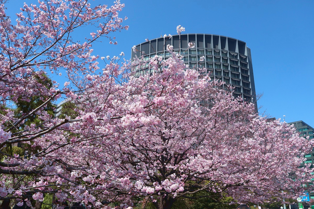 あっきー tweet media