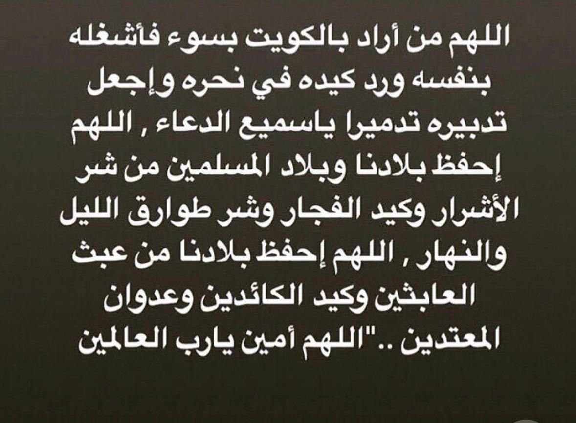 LOLO🕊 tweet media