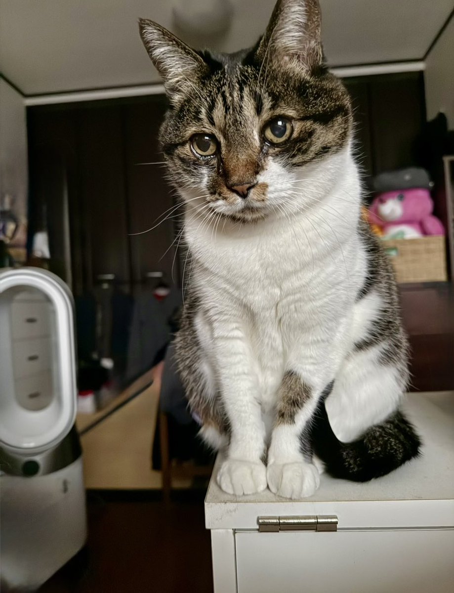 きょうは雨降りです☔️
姫ちゃんが無言で起こしてくれました！
まずい事に…朝8時起床の木曜日…