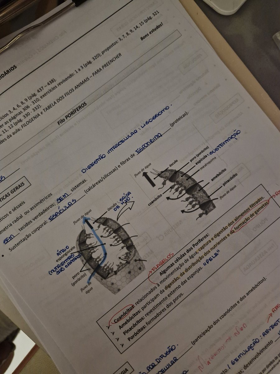 maria 🐇 🩺❣️❤️‍🔥 tweet media