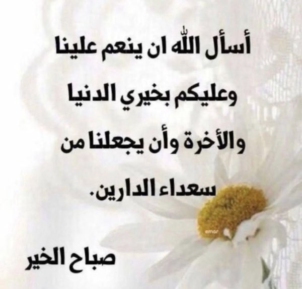 سُعاد tweet media