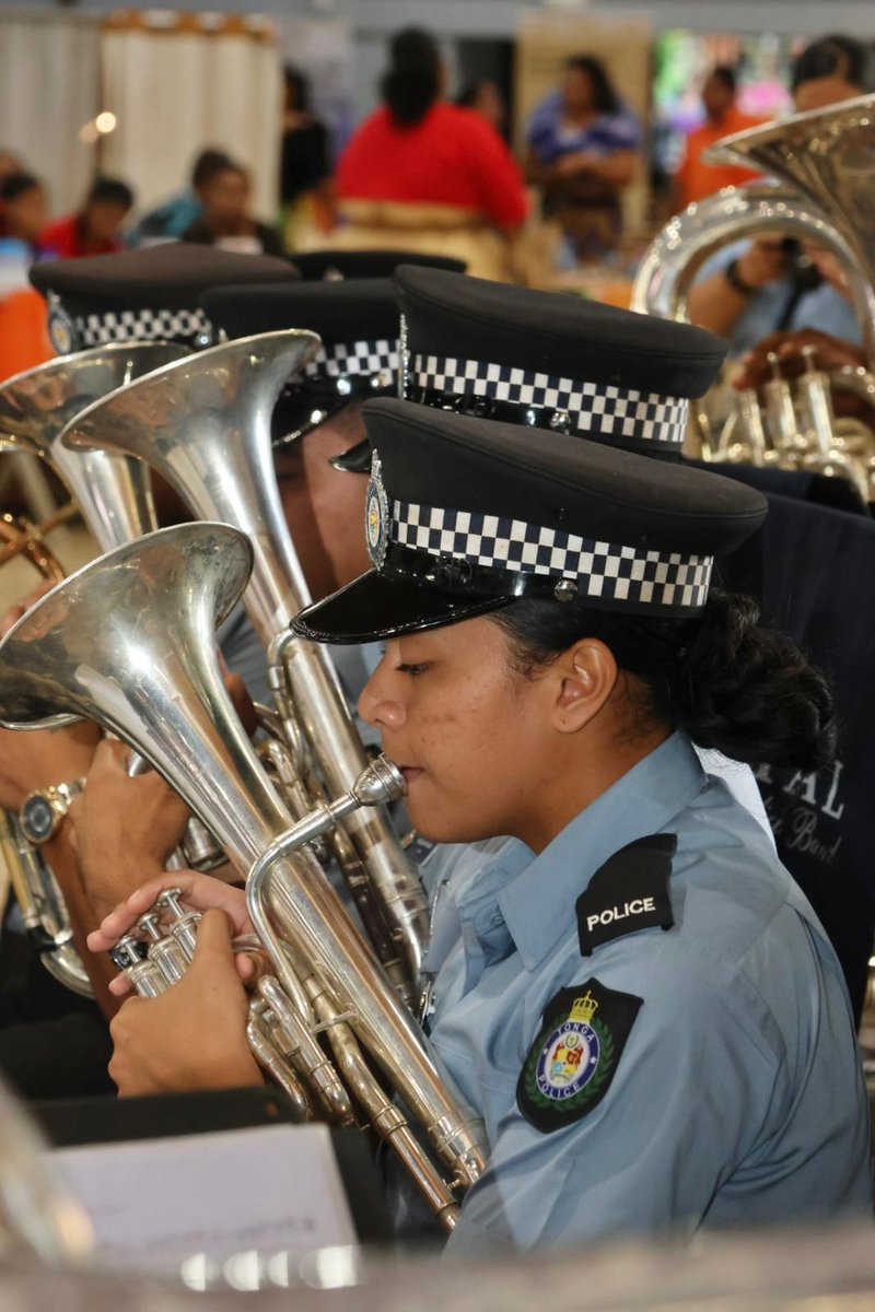 UN Fiji, Solomon Islands, Tonga, Tuvalu & Vanuatu tweet media