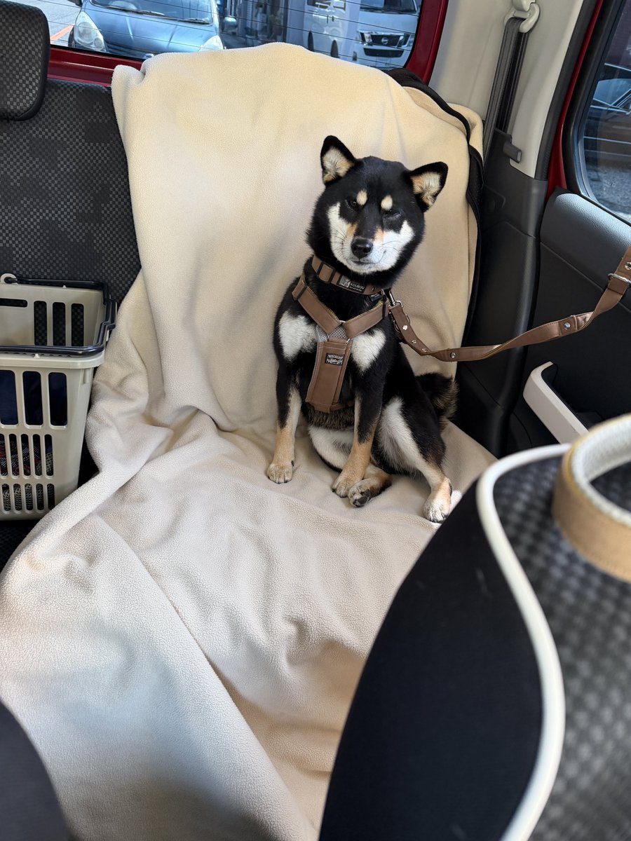 tama | 言葉とデザインのあいだで、日々を紡ぐ人。 tweet media