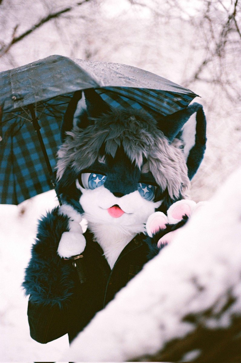 태퓨 Tapew tweet media