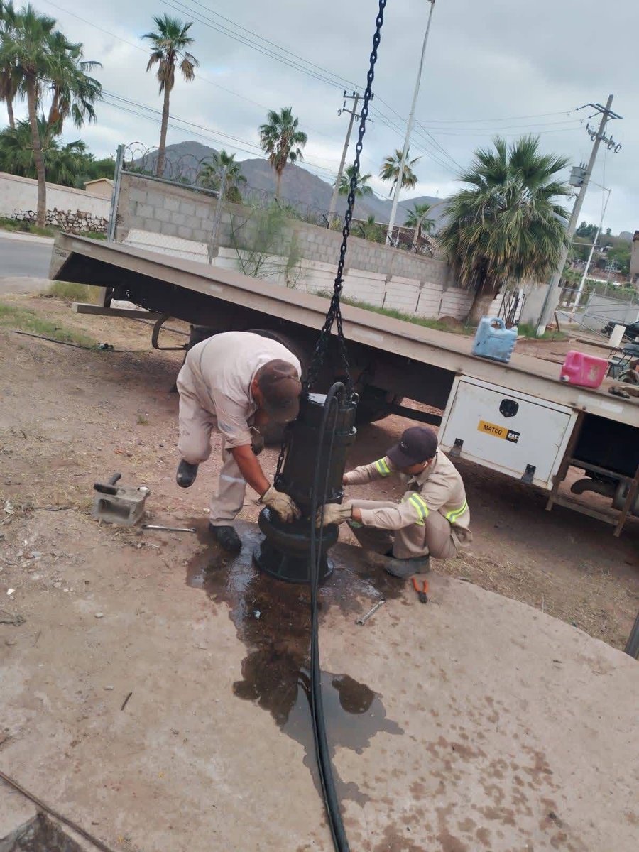 CEA Sonora tweet media