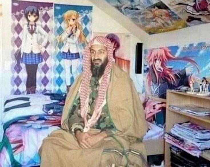 insane poses tweet media