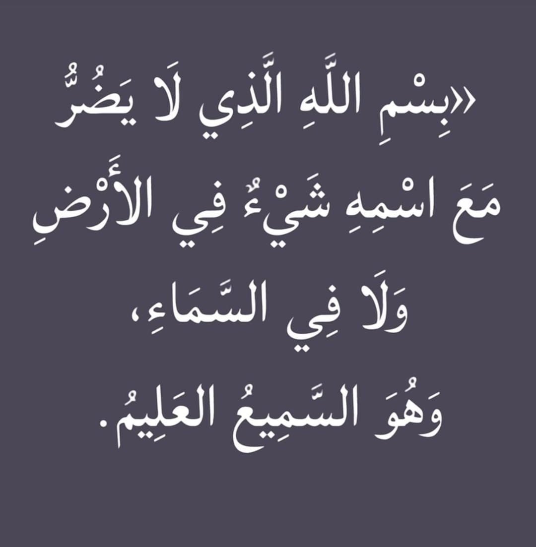 LOLO🕊 tweet media