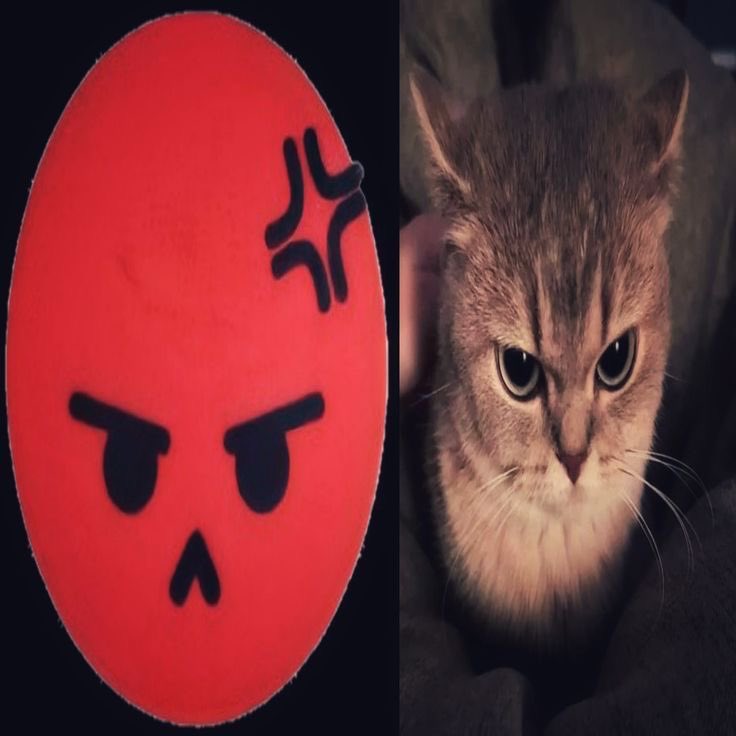 doficita ⭐️ ENHY7EN IS 7 tweet media