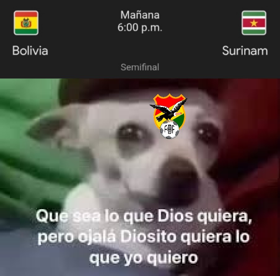 Tottenham Bolivia tweet media