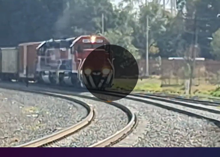 Awhittlefan491 tweet media