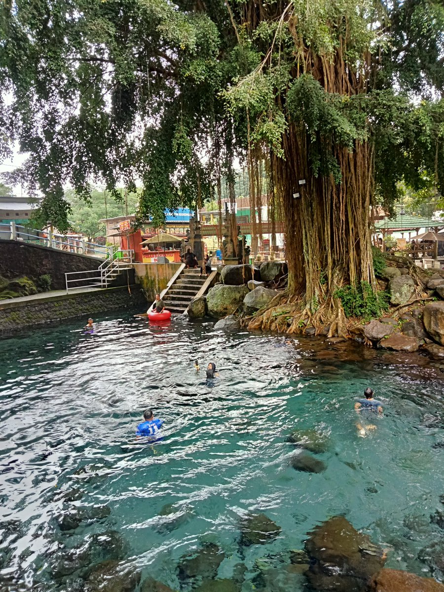 P I S C O K tweet media