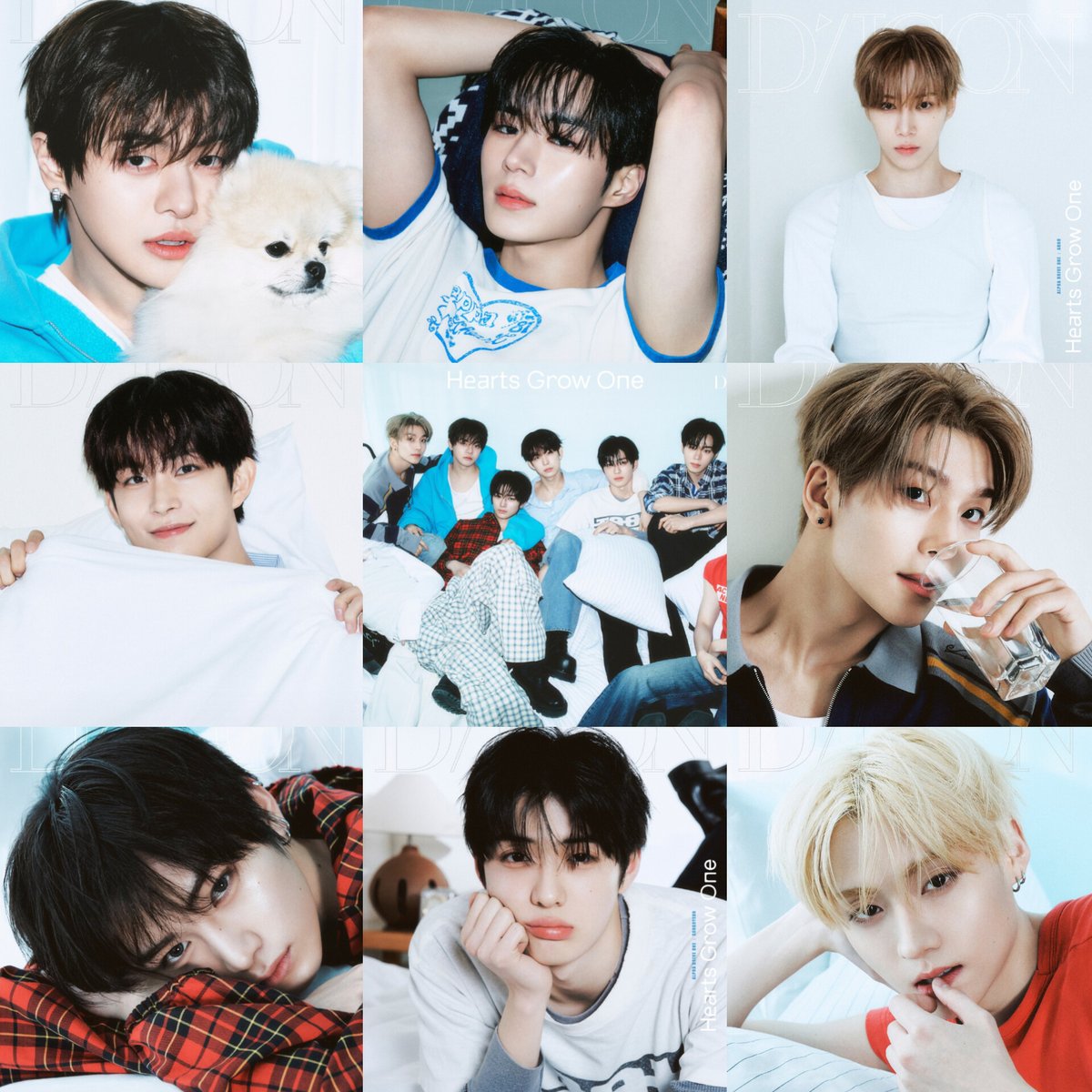 둥빠🍀 tweet media