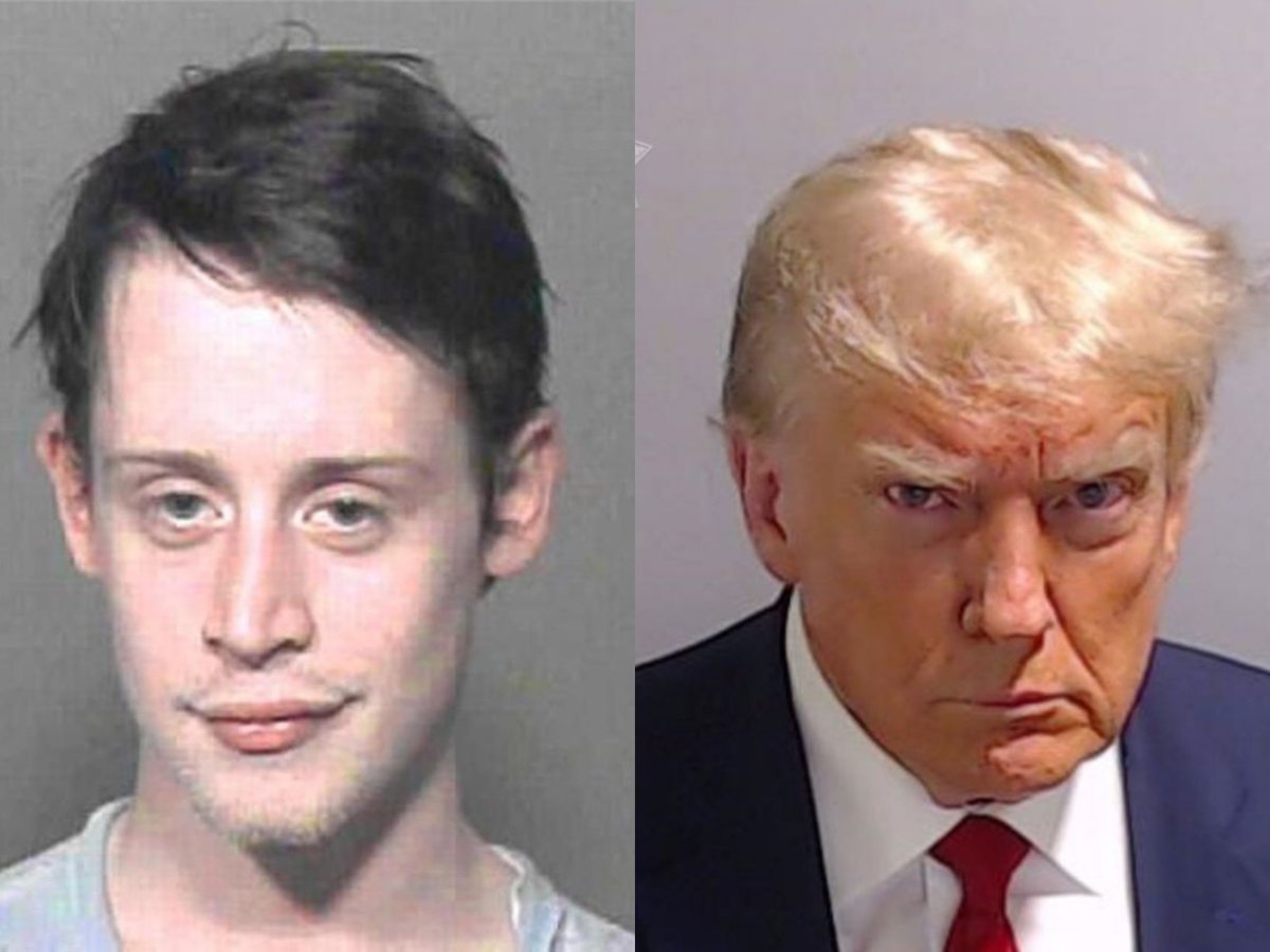 Planet Of Memes tweet media