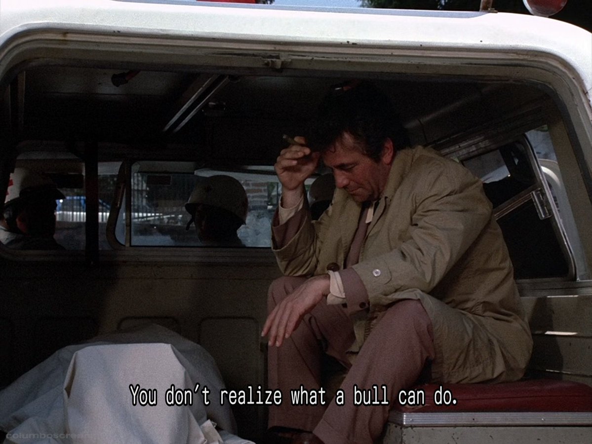 Jack Camber tweet media