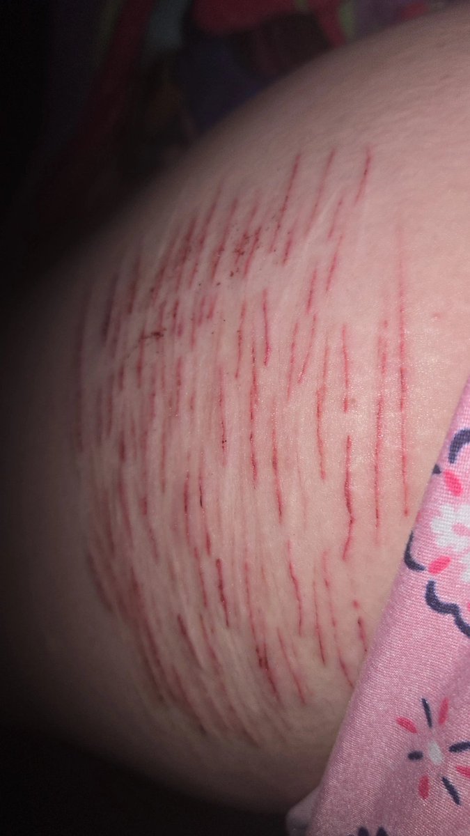 alice🐾 tweet media