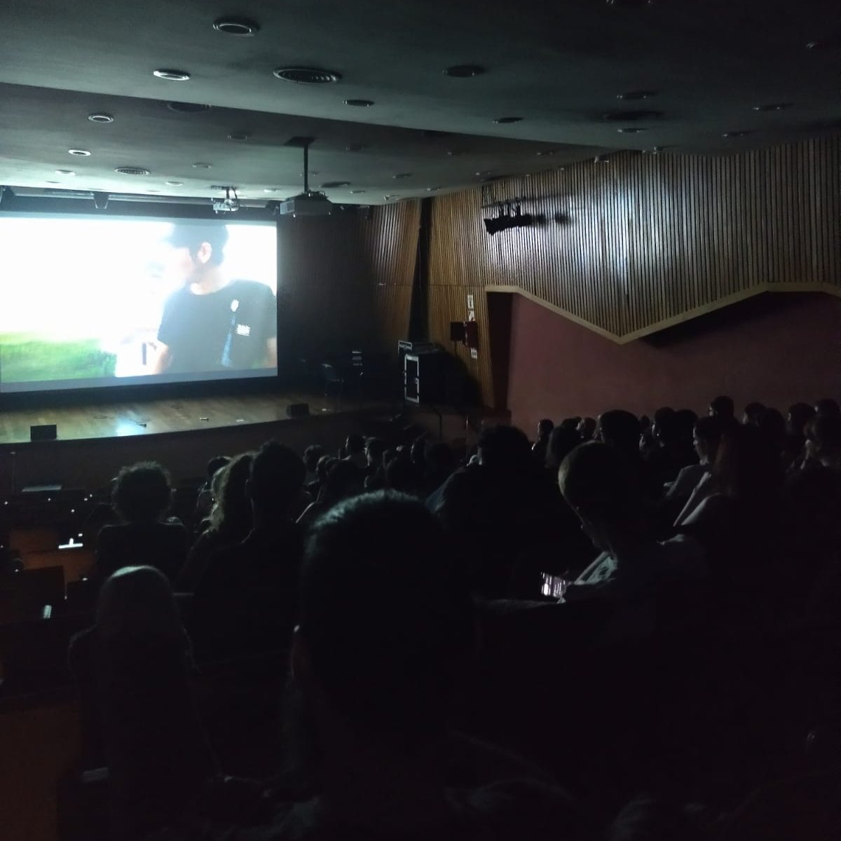 alexander tweet media