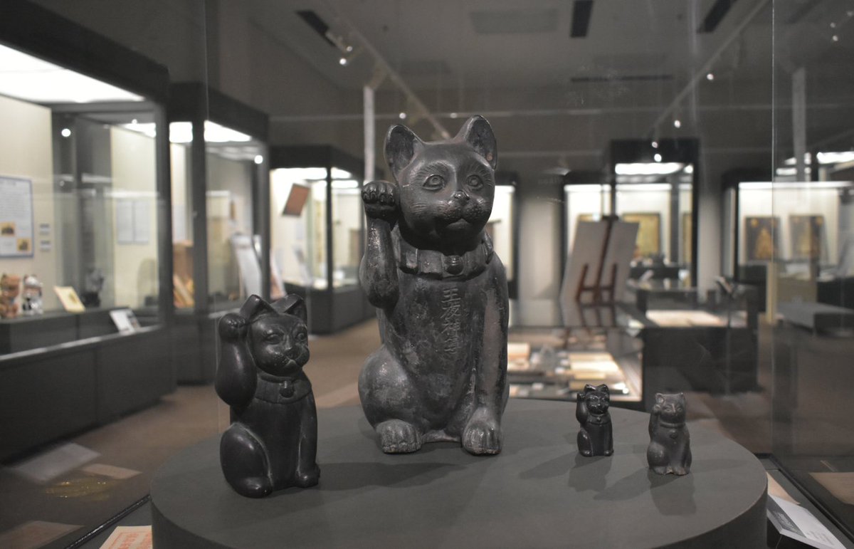 ほとんど0円大学 tweet media