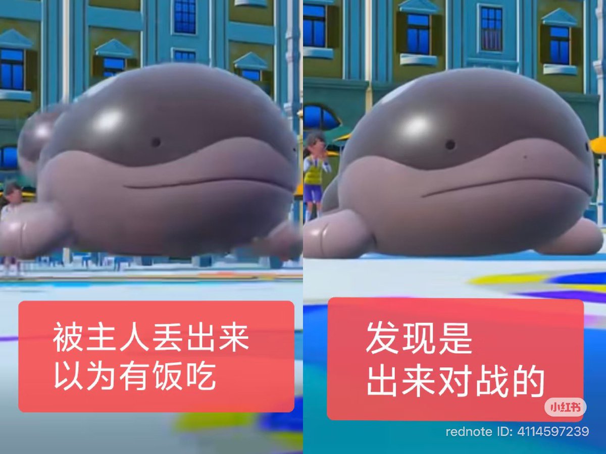 禿道道🐟 tweet media