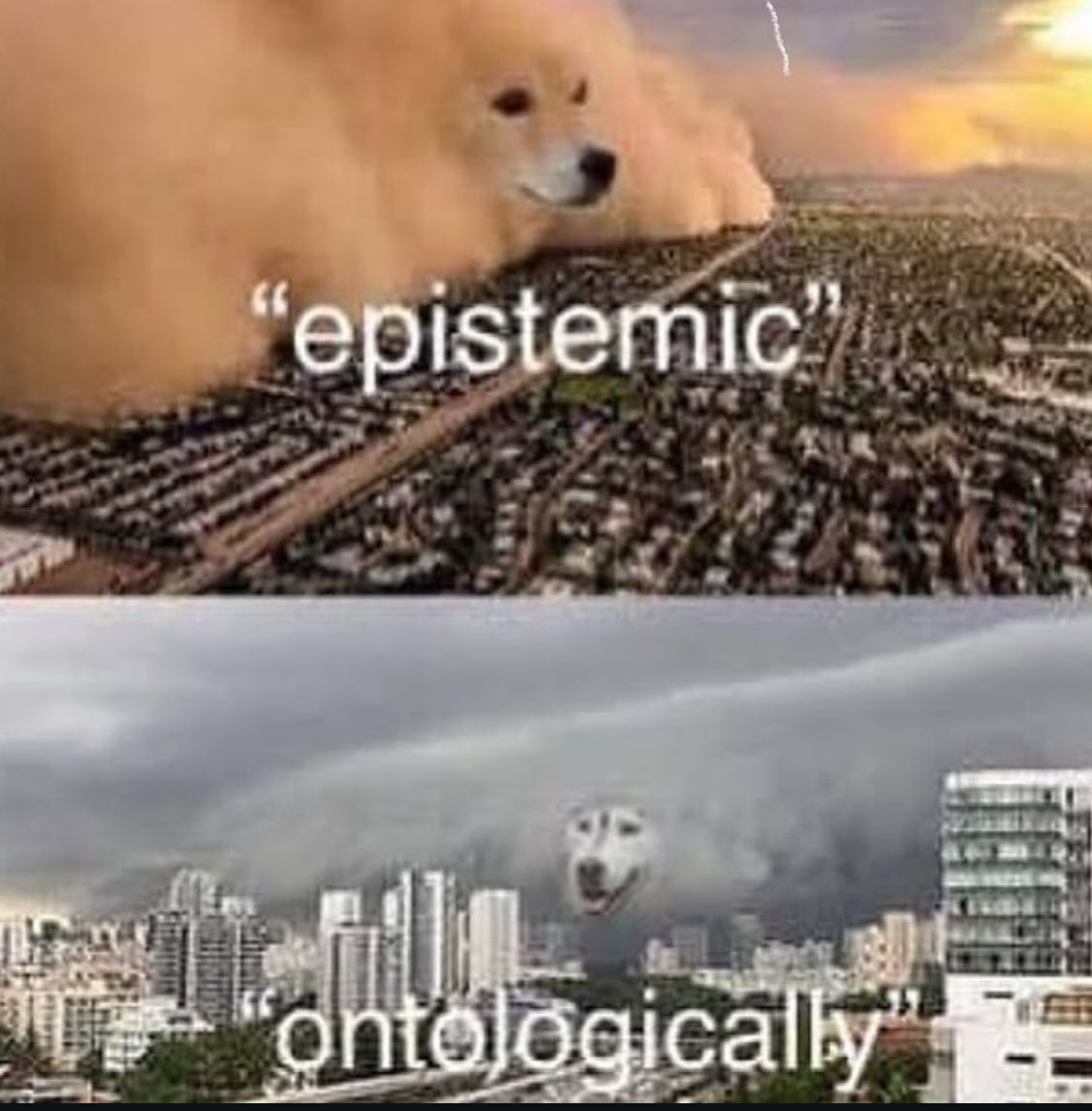 philosophy memes 🔗 tweet media