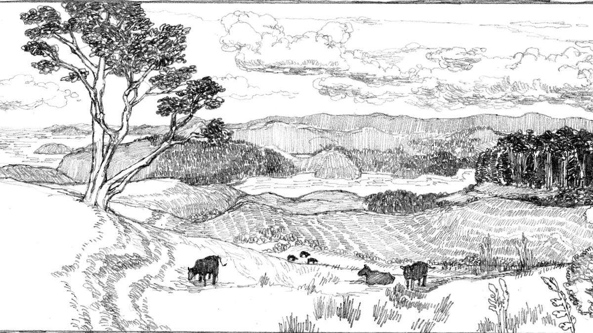 Seaġán 🧩 tweet media