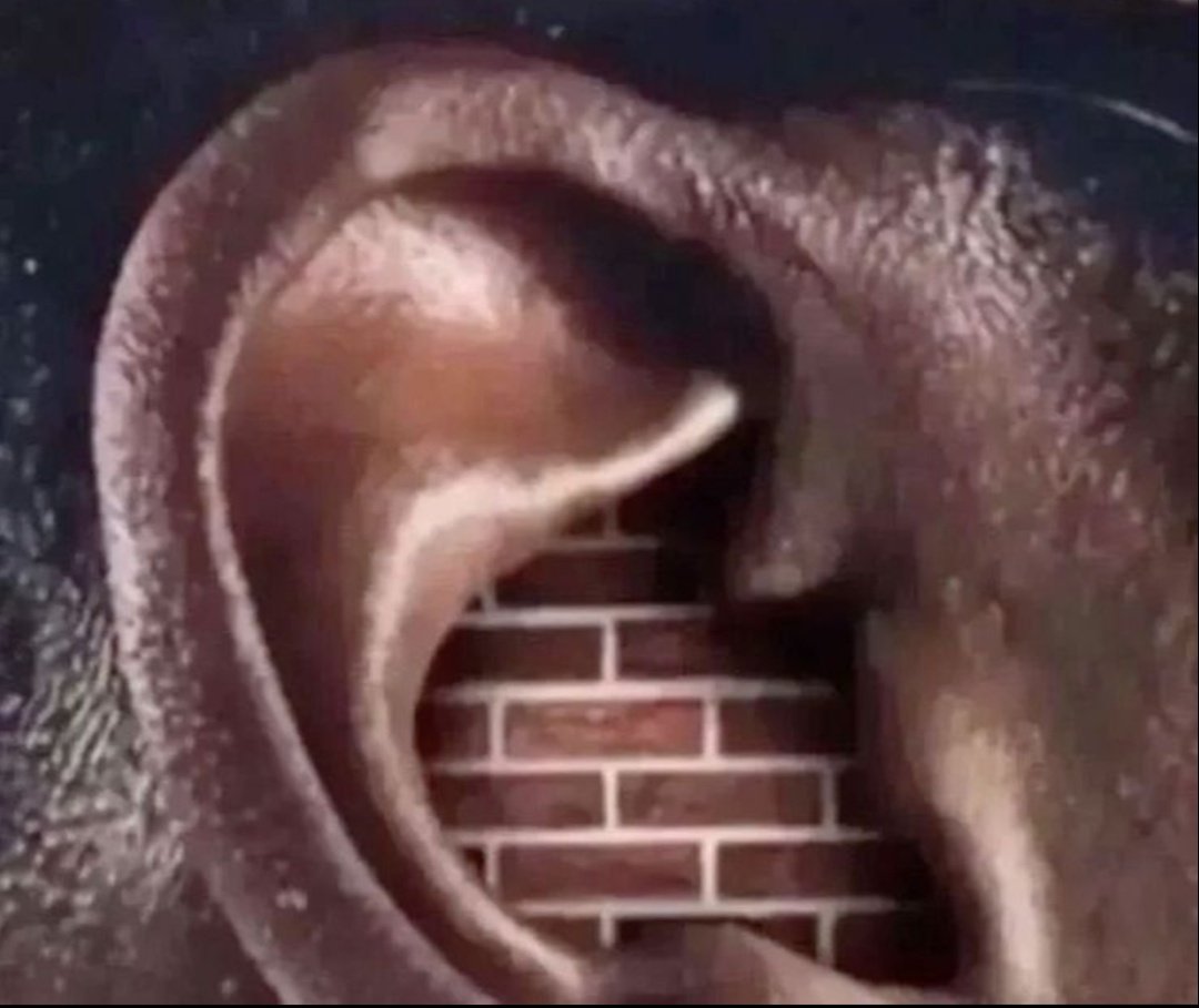 yahoo responde tweet media