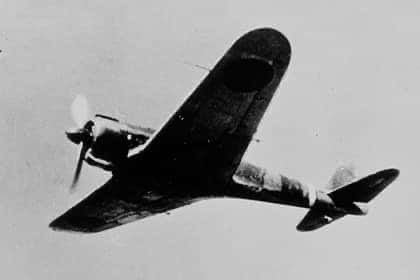 No Cats No Life tweet media