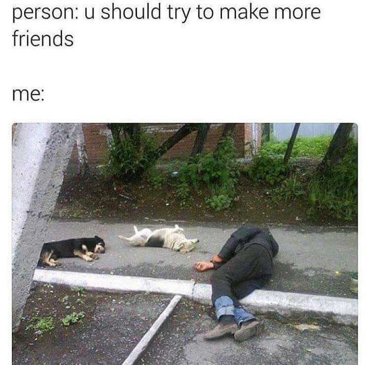 sad people's meme bot tweet media