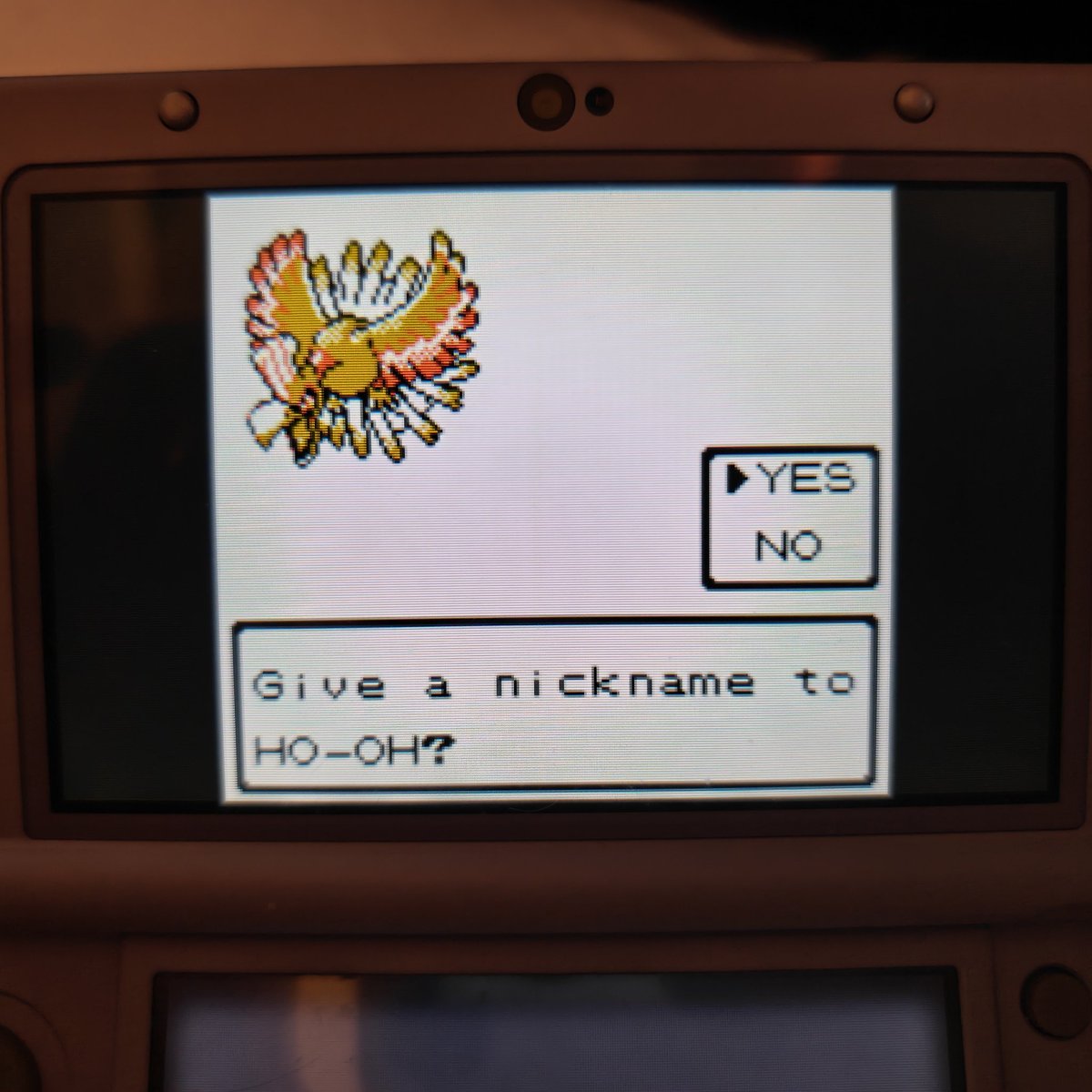 Pznguin | OMiT tweet media