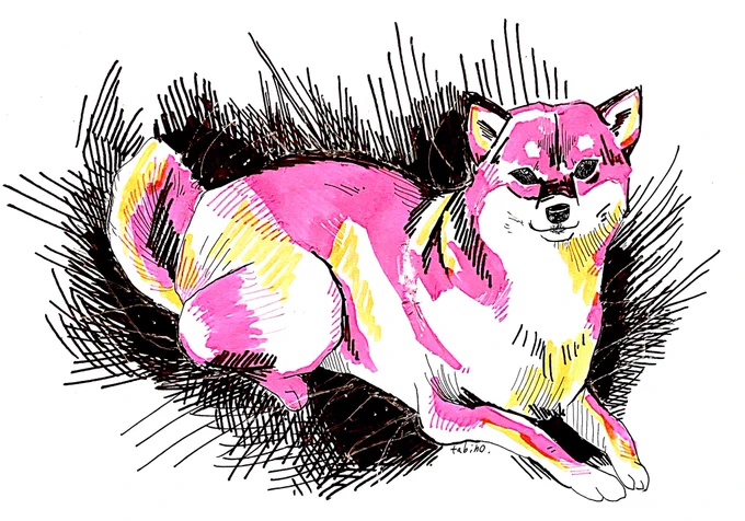柴犬描きました。今回目つむって取ったペンはピンク、ダークブラウン、橙色でした。