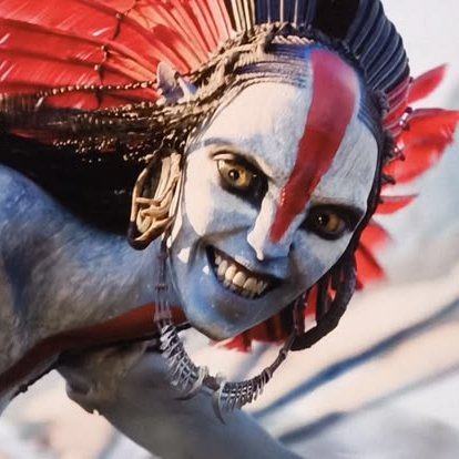 phoenix!! °☆▪︎◇ tweet media