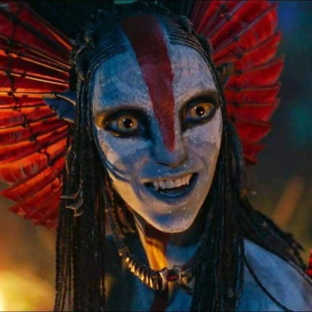 phoenix!! °☆▪︎◇ tweet media