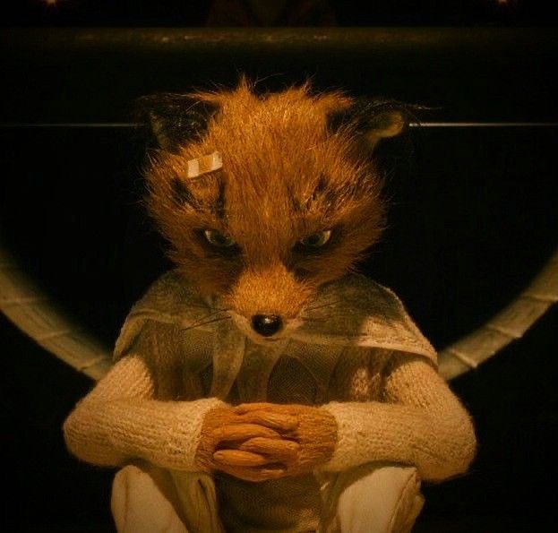 eli 🦝 #girlbobtwt tweet media