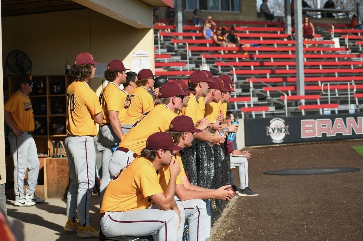 UMC Baseball tweet media