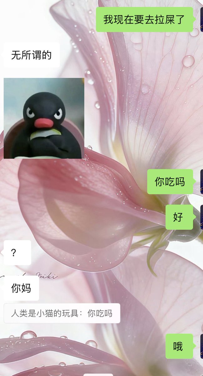 并不喜欢吃鱼 tweet media