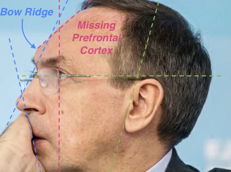 Korobochka (コロボ) 🇦🇺✝️ tweet media