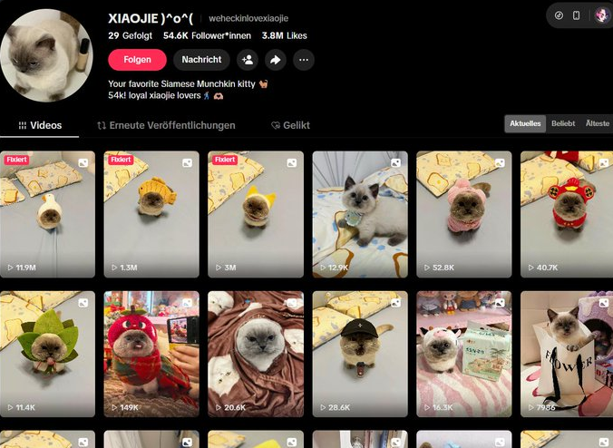 WifPrimate tweet media