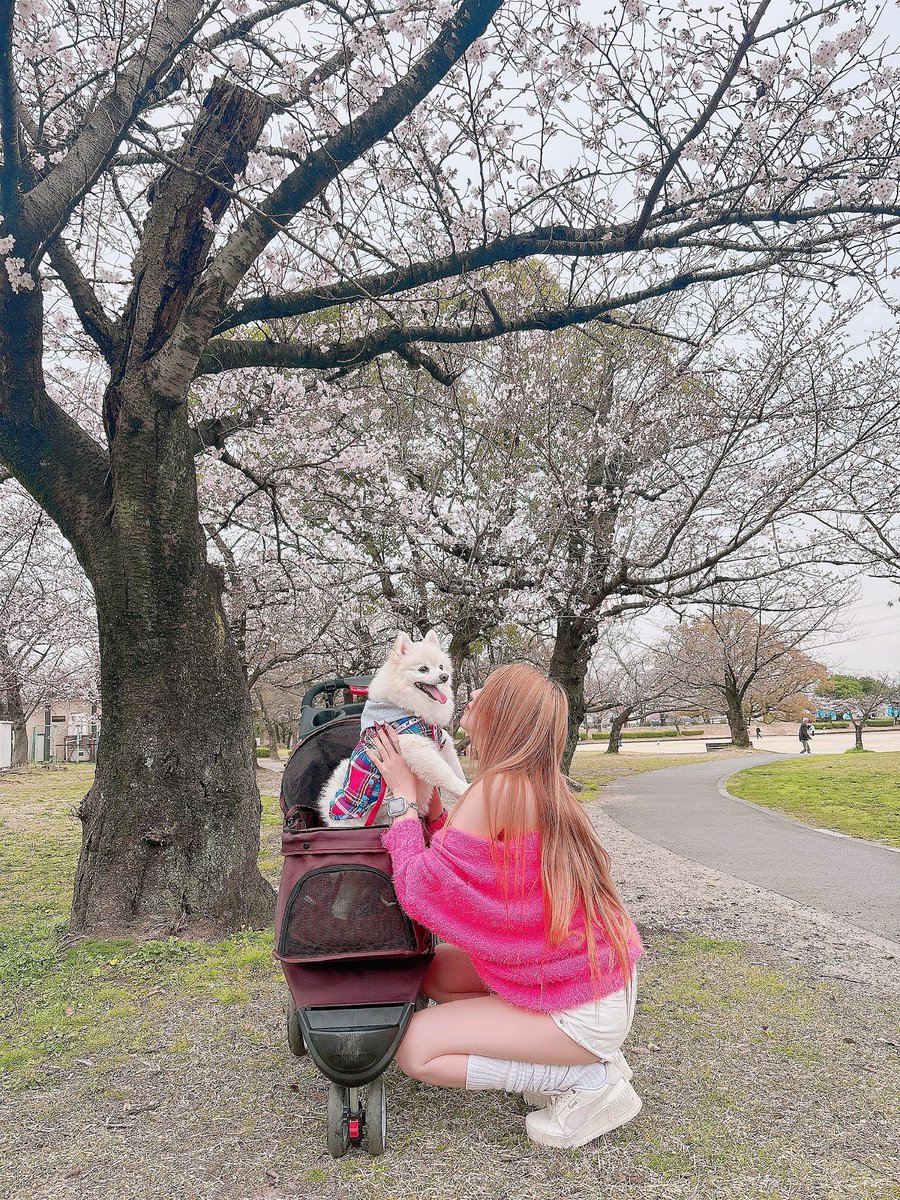 発狂pink💅💄 tweet media