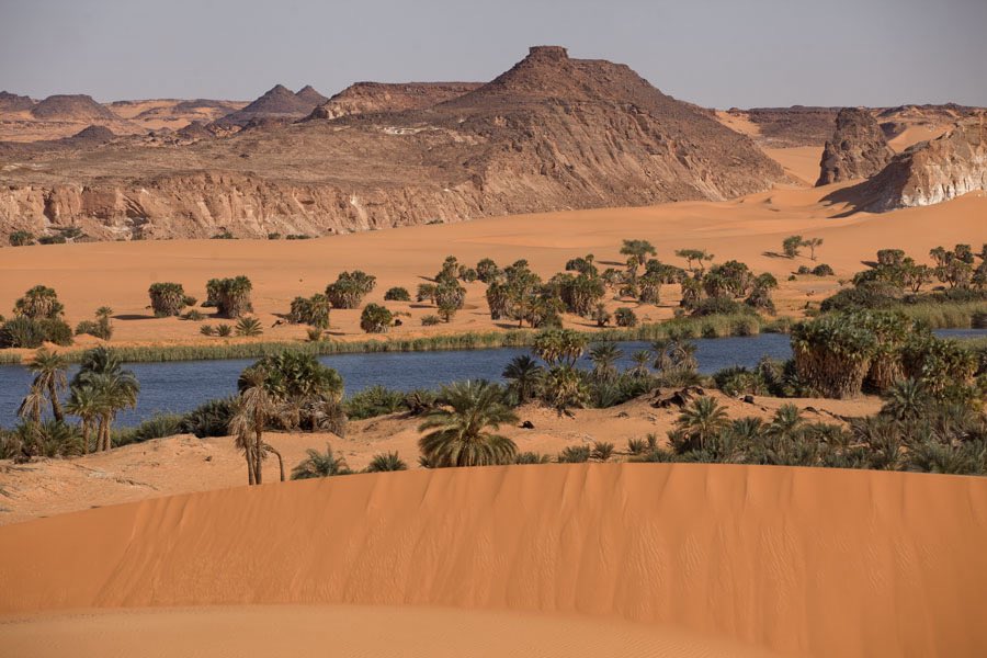 Maréchal gargass tweet media