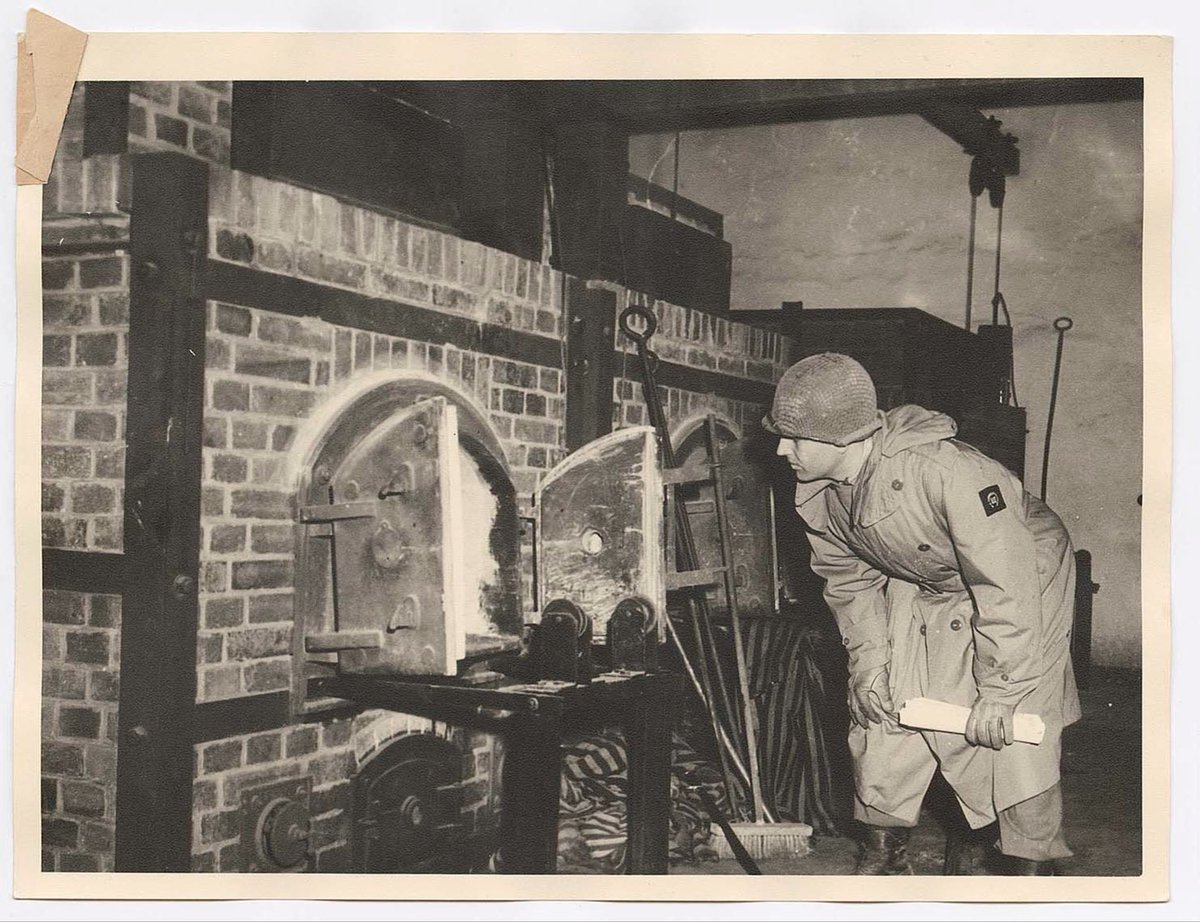 Horse Sense tweet media