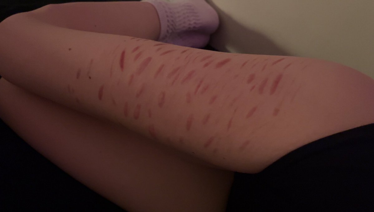 girlie ౨ৎ tweet media