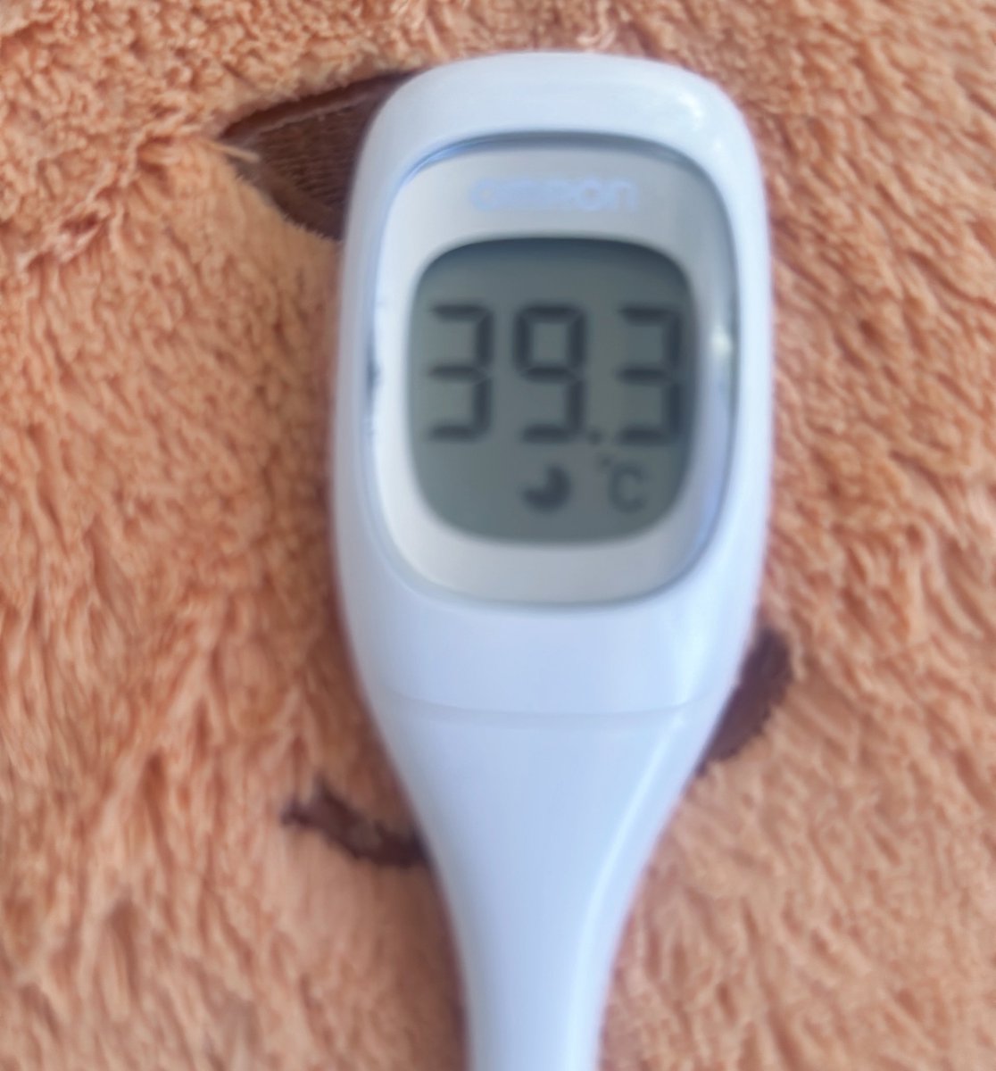 七瀬ゆい/Yui Nanase tweet media