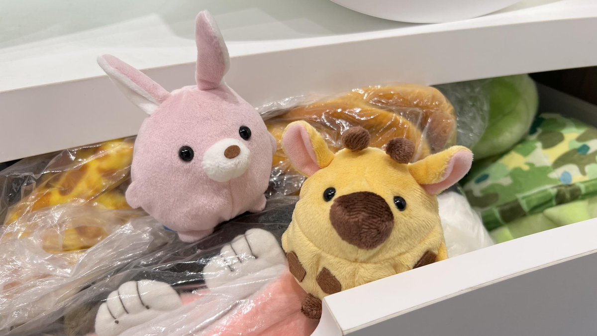 株式会社AQUA公式 tweet media