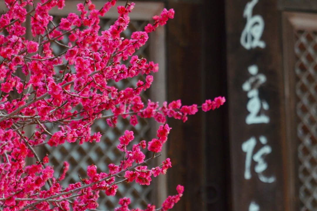 Mugi 🐢🐍玄무기 | VTuber Trainee tweet media